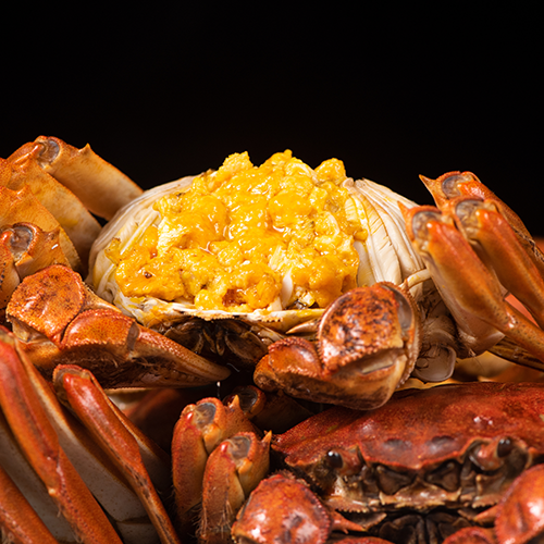 爆膏六月黃(中)12隻裝