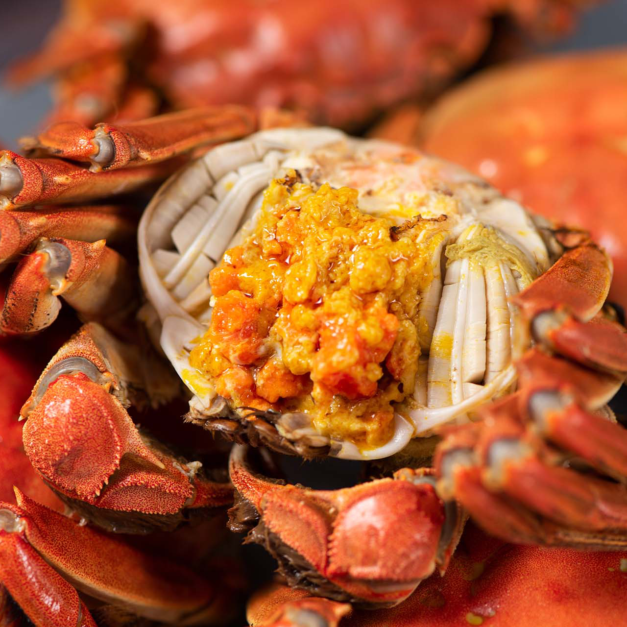 爆膏六月黃(大)12隻裝