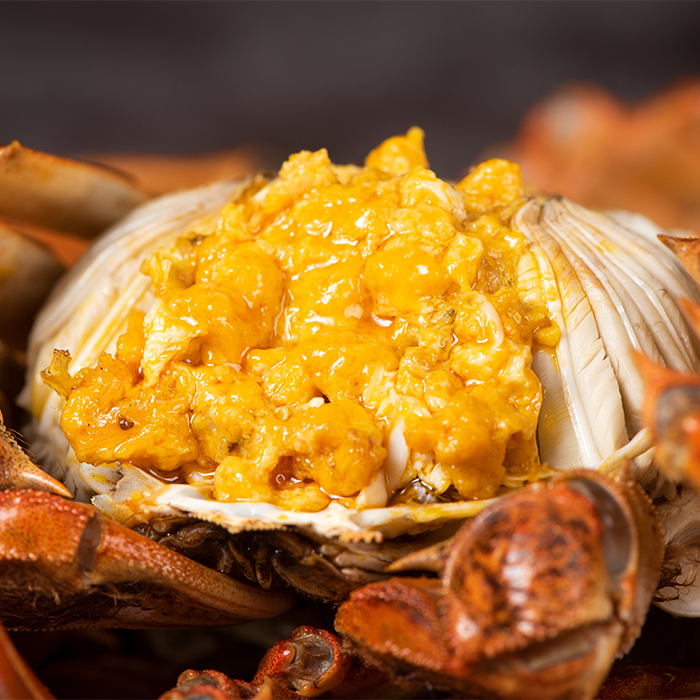 爆膏六月黃(大)單隻